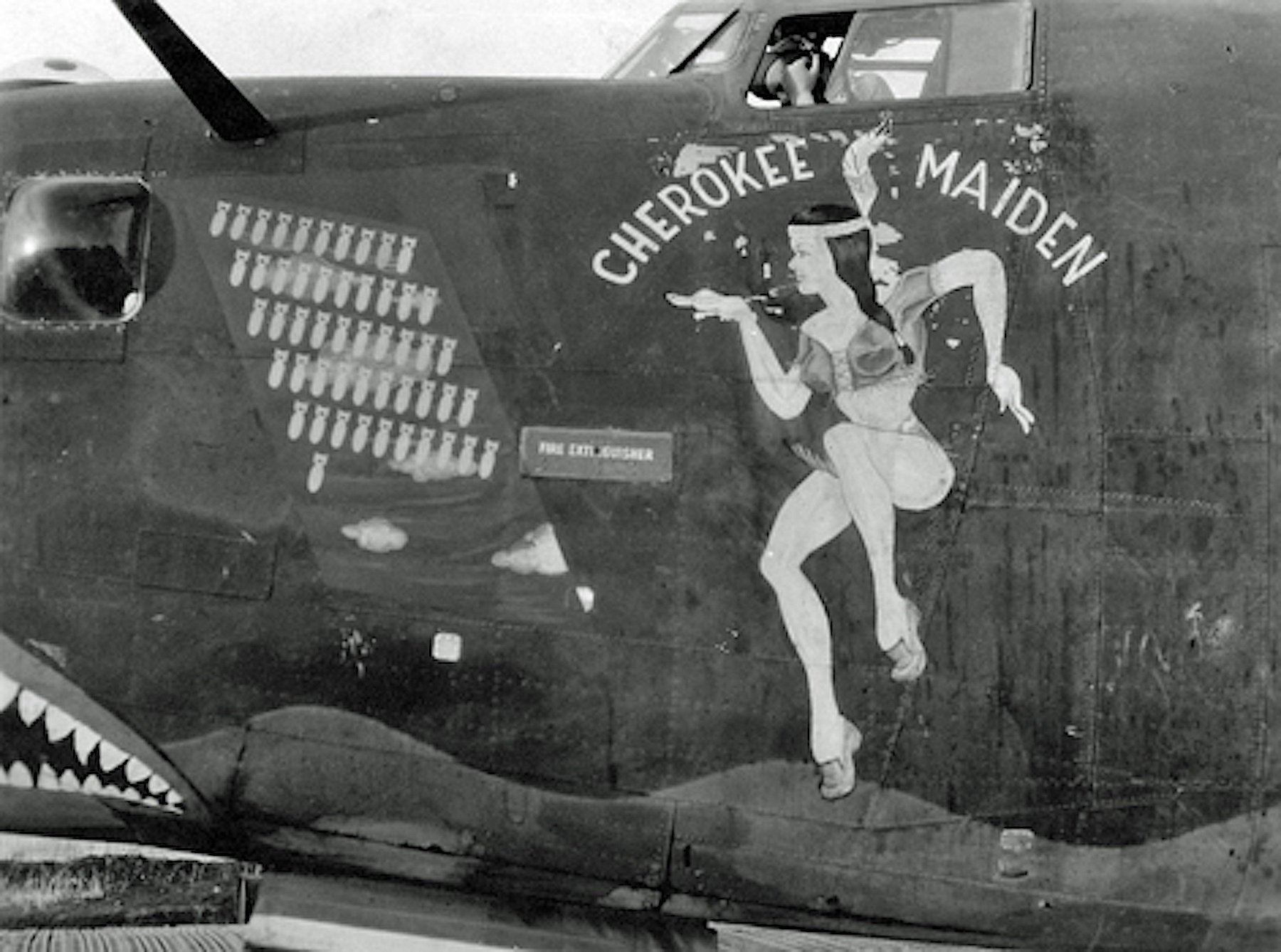  Cherokee Maiden- B-24 of the 459th Bomb Group 