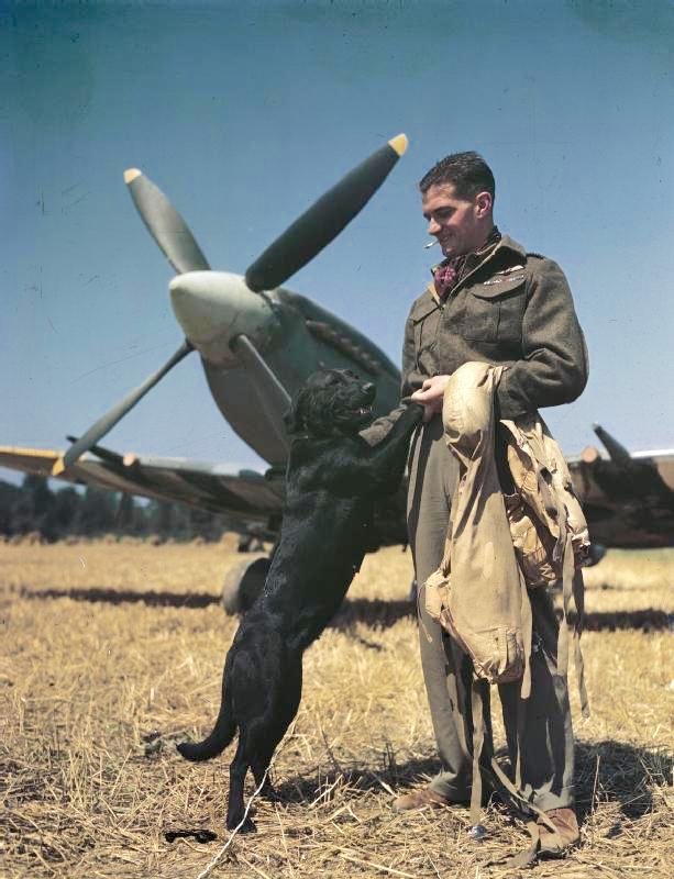 7. WingCommanderJuly 1944.jpg