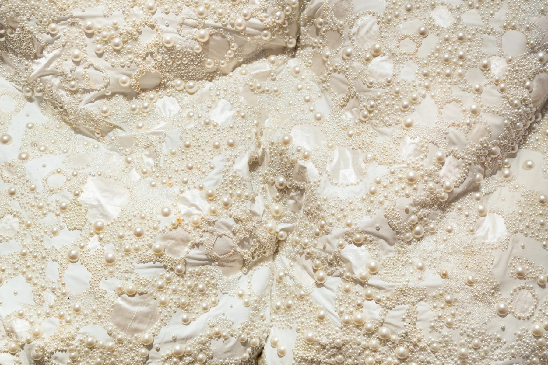 Savannah Jarvis_Surgical Fantasies_Documentation LR_Louis Lim (24).jpg