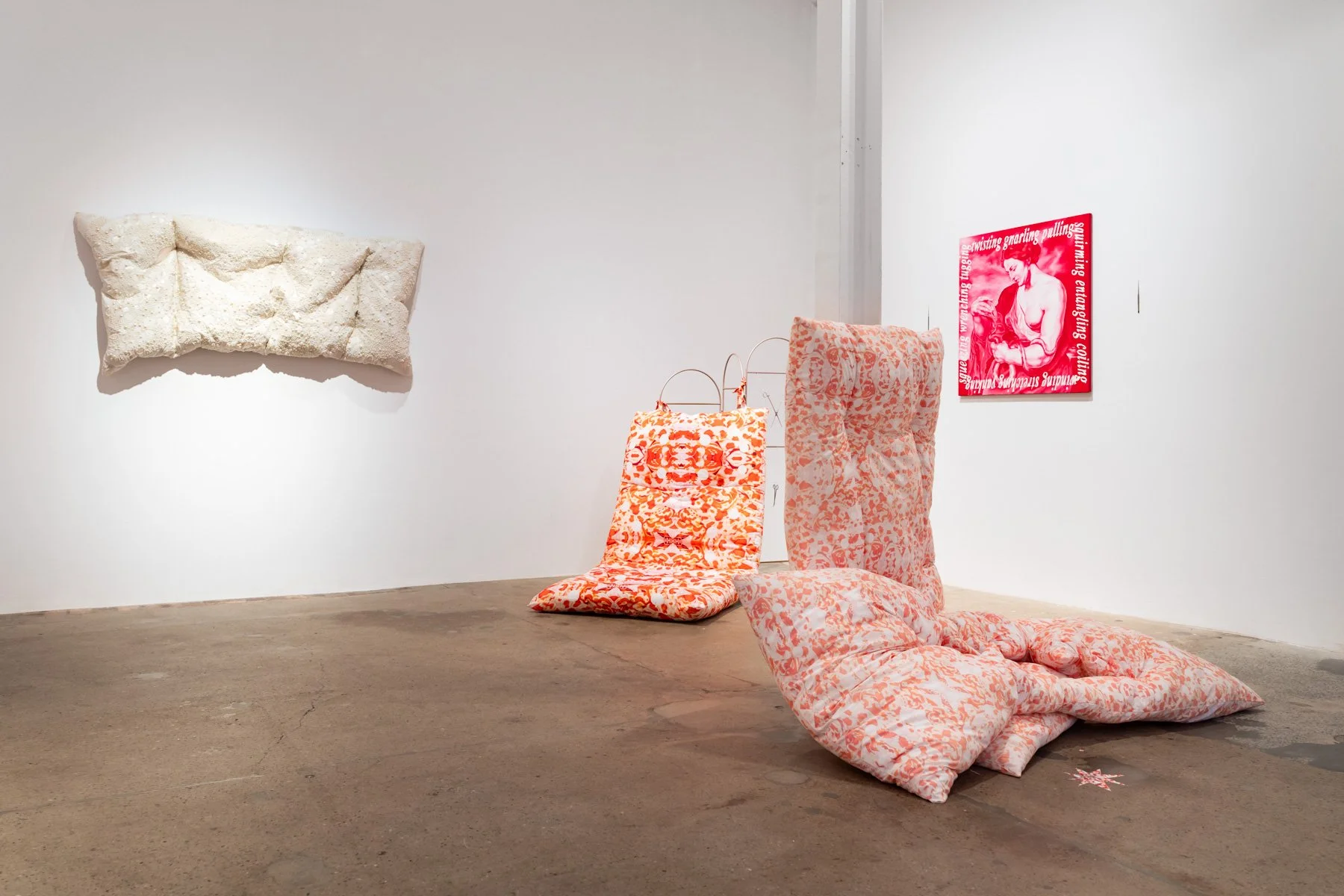 Savannah Jarvis_Surgical Fantasies_Documentation LR_Louis Lim (10).jpg