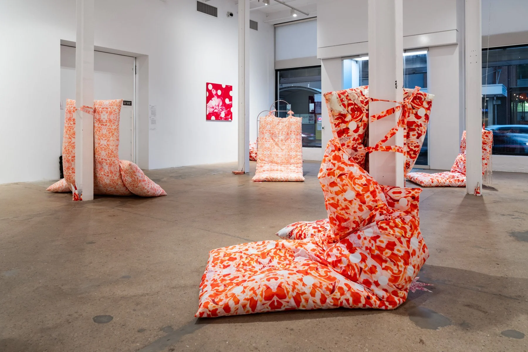 Savannah Jarvis_Surgical Fantasies_Documentation LR_Louis Lim (13).jpg