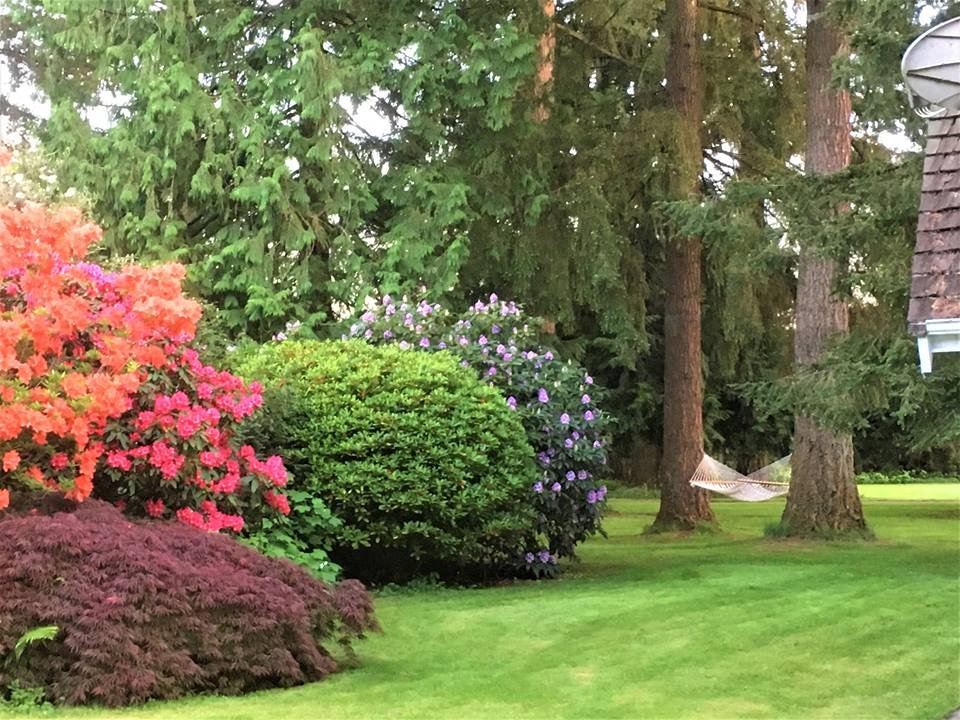 Grounds-1.jpg