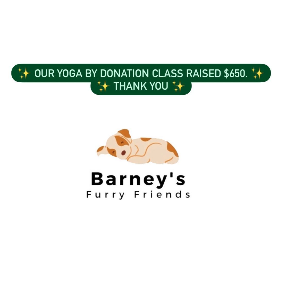 🐾 Thank you to everyone in our sweet yoga community who showed up to our by donation yoga class today for @barneysfurryfriends 
🐾 We are incredibly grateful to @sadhanayogaandsound for allowing us to use the space and supporting this event.
🐾 Than
