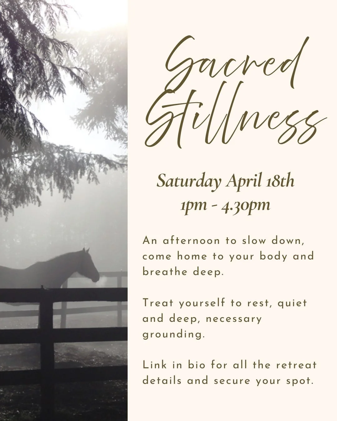 ✨ Sacred Stillness Yoga Retreat at Wisteria Acres ✨
Join me for an afternoon to slow down, come home to your body, breathe deep and soothe your Central Nervous System.
The afternoon will include Yin Yoga, Pranayama, Guided Meditation, Restorative Yog