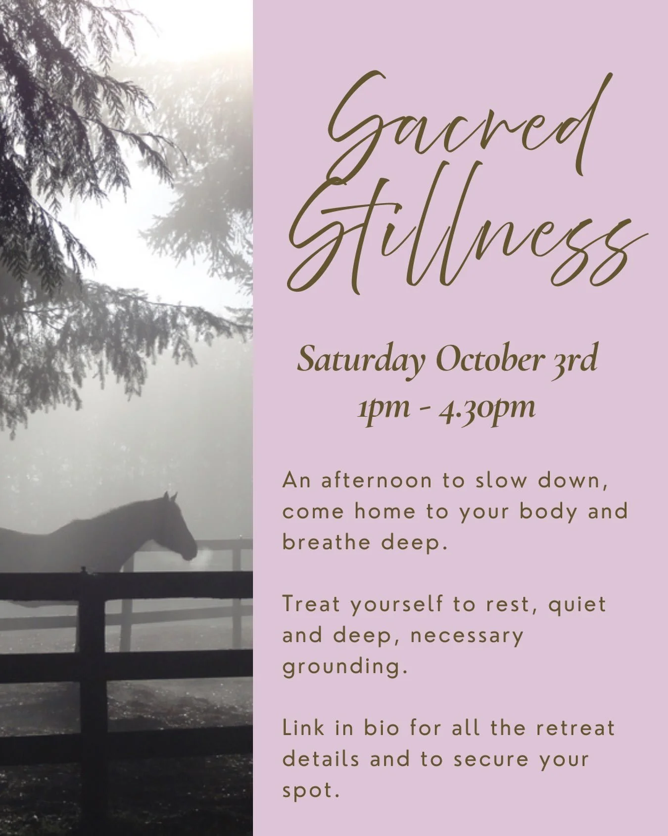 ✨Sacred Stillness Yoga Retreat at Wisteria Acres ✨
Join me for an afternoon to slow down, come home to your body, breathe deep and soothe your Central Nervous System.
The afternoon will include Yin Yoga, Pranayama, Guided Meditation, Restorative Yoga