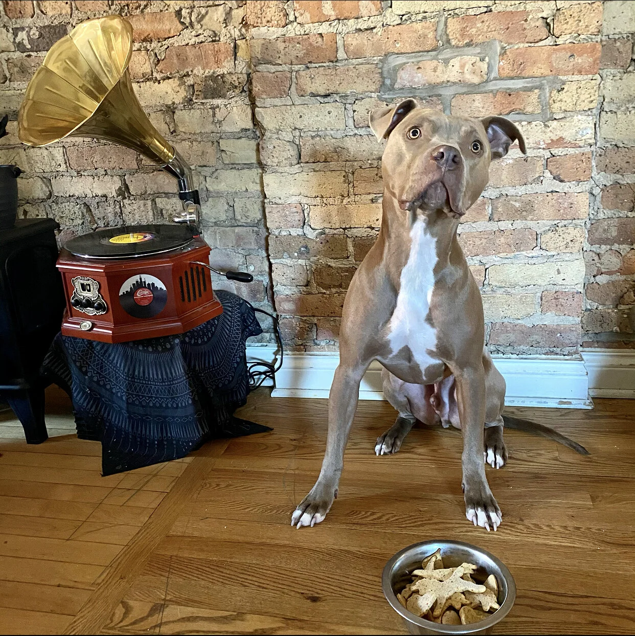Tootie’s Treats