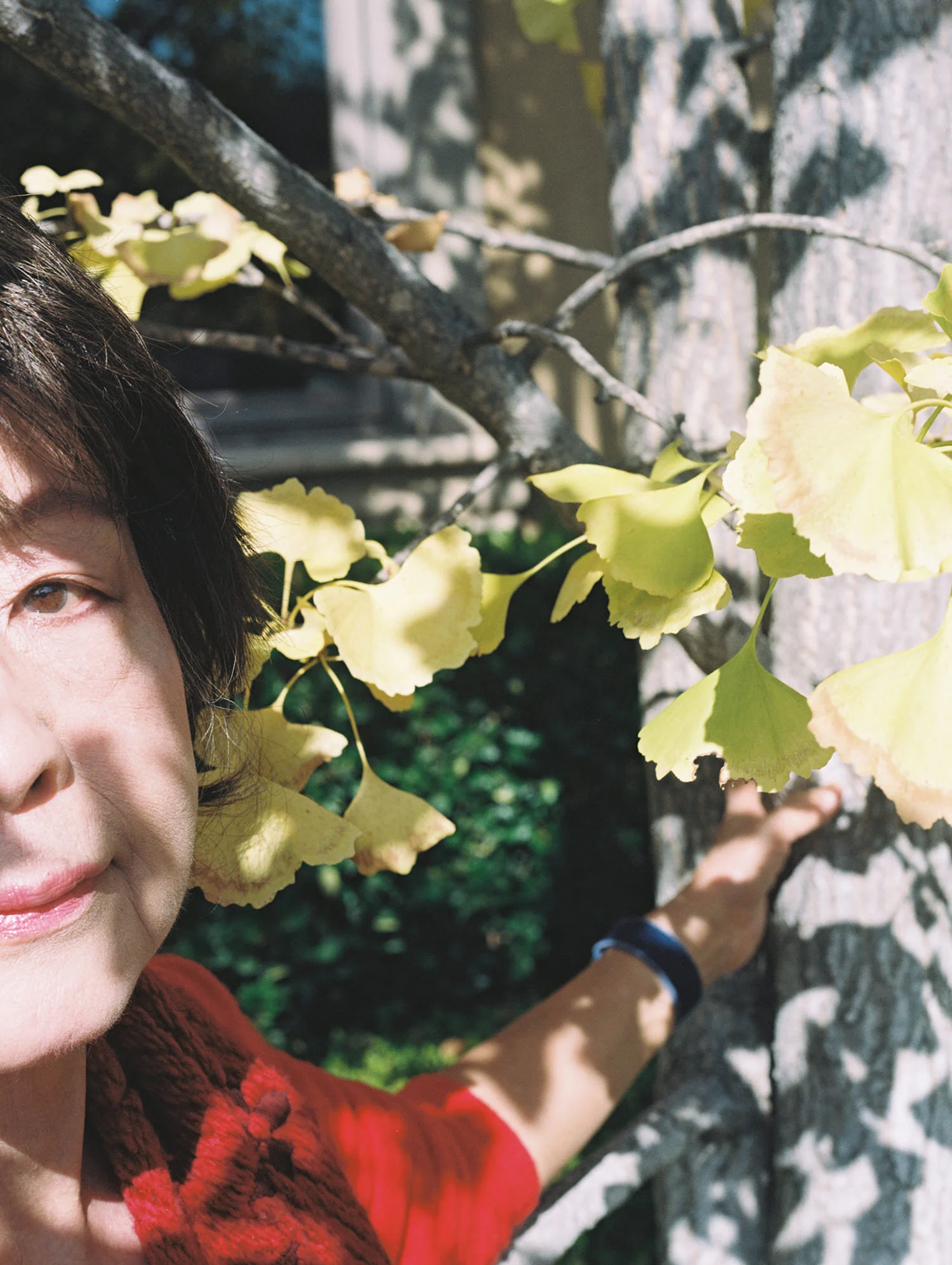 Mom side eye gingko.jpg