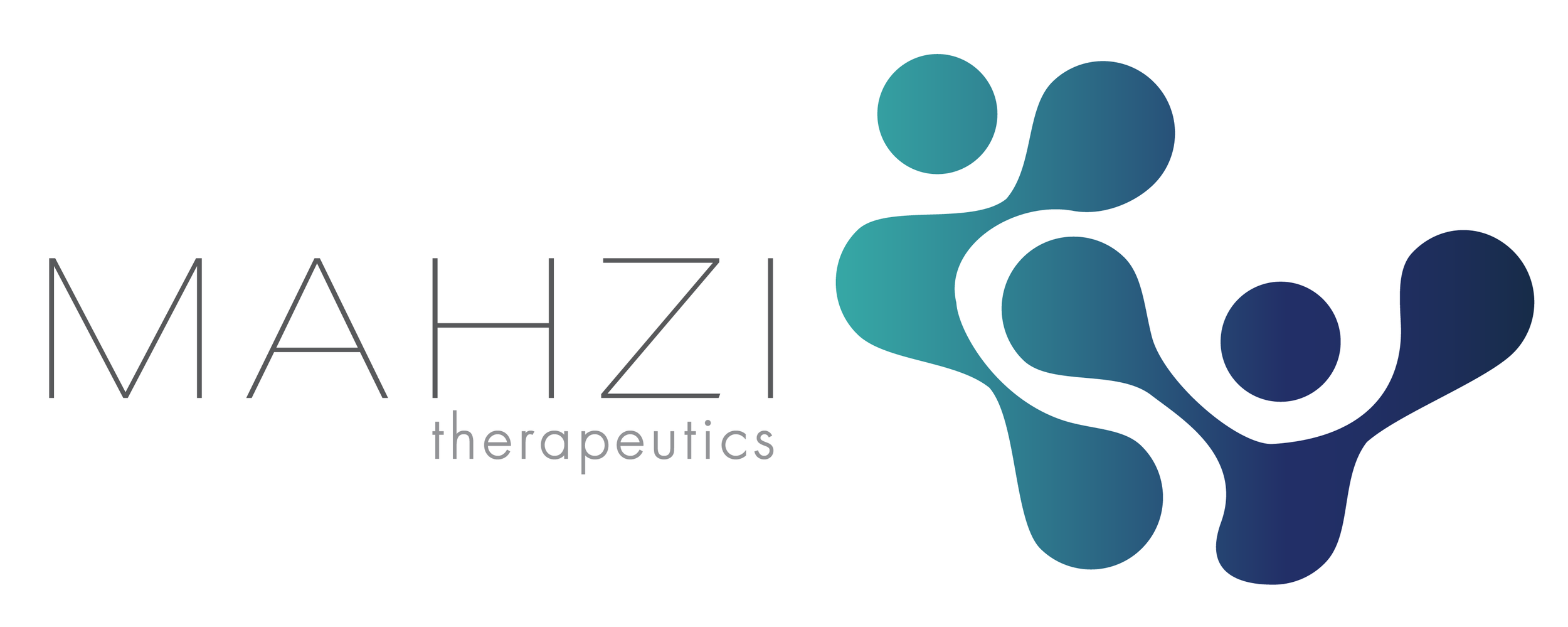 Mahzi Logo Horizontal.png