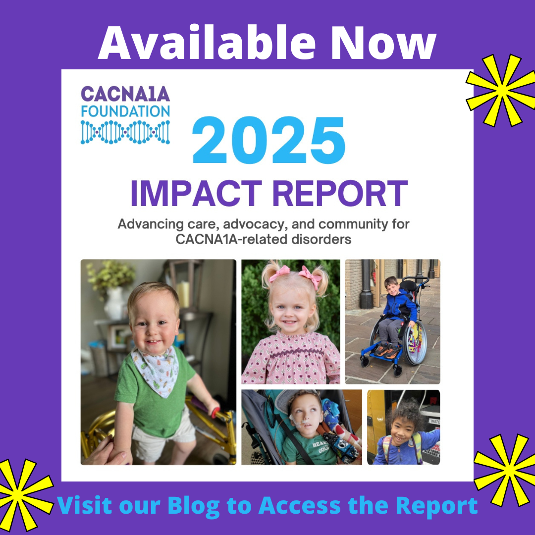 Our 2025 Impact Report is Now Available 