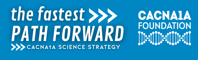 The Fastest Path Forward Starts Now