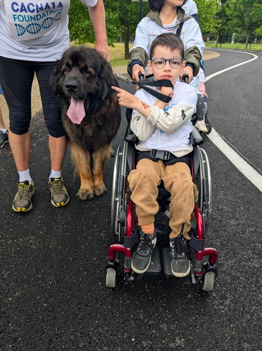 Screenshot 2026-04-26 at 10.19.47 AM.jpeg