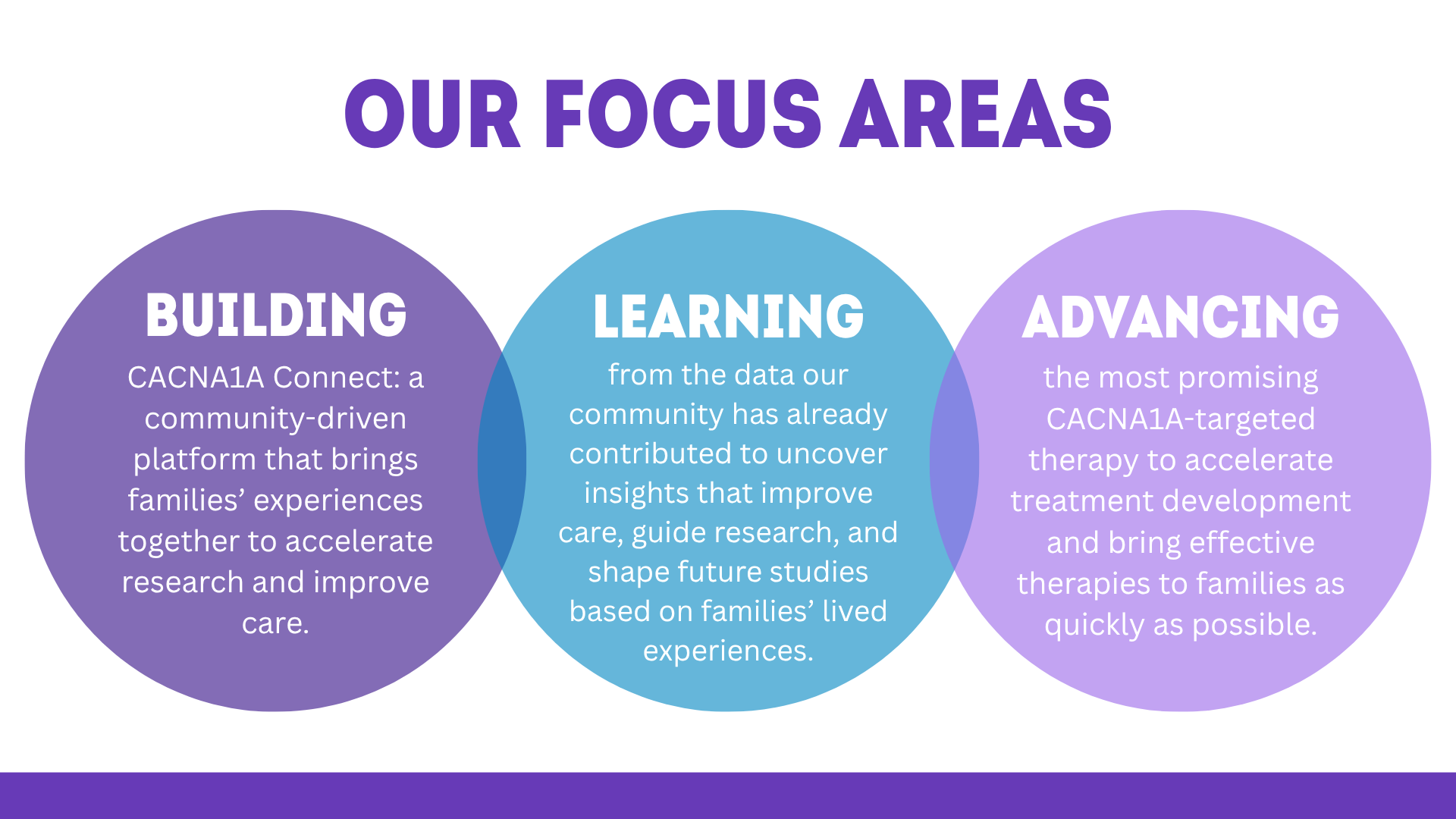 What We’re Learning: Insights From Surveying the CACNA1A Community