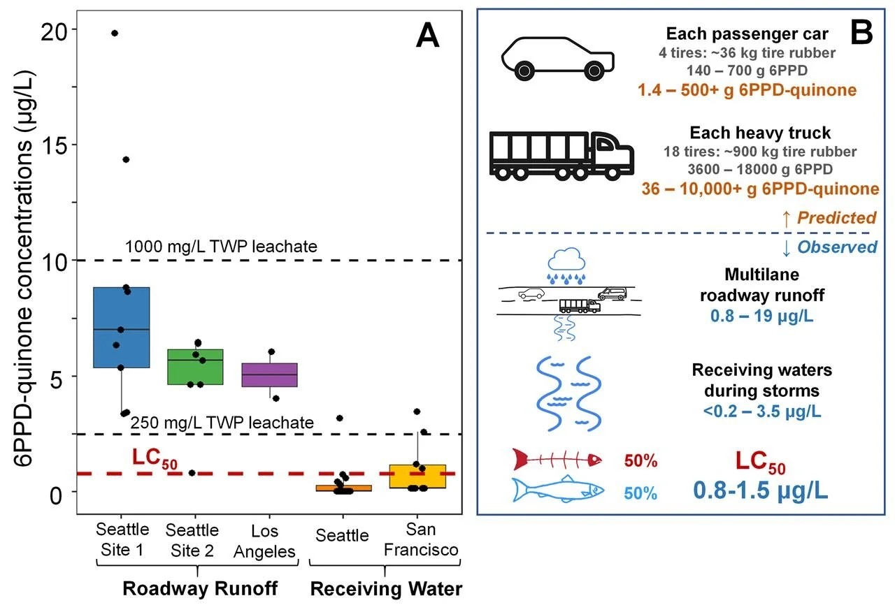 A ubiquitous tire rubber–derived chemical induces acute mortality in ...