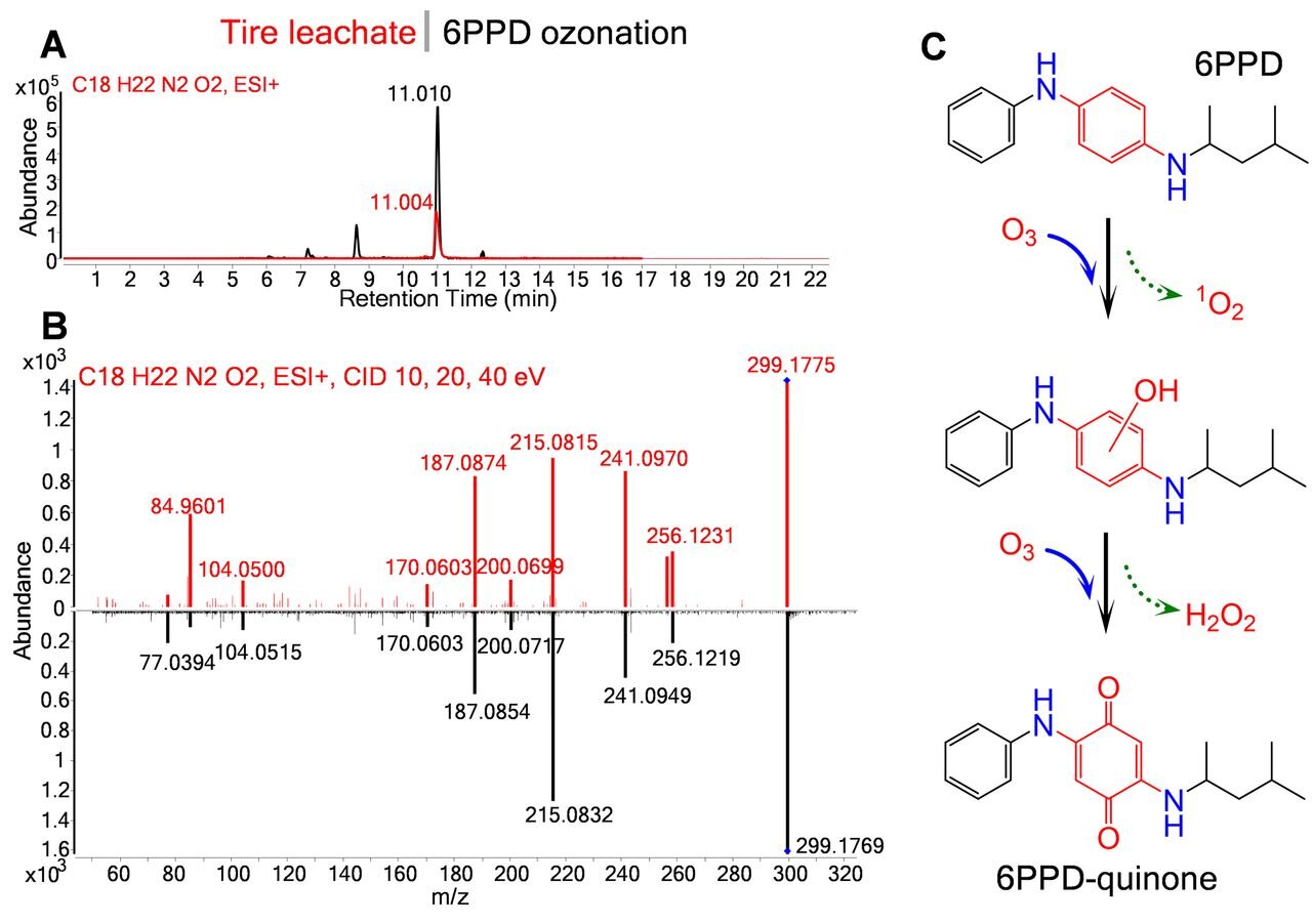 A ubiquitous tire rubber–derived chemical induces acute mortality in ...