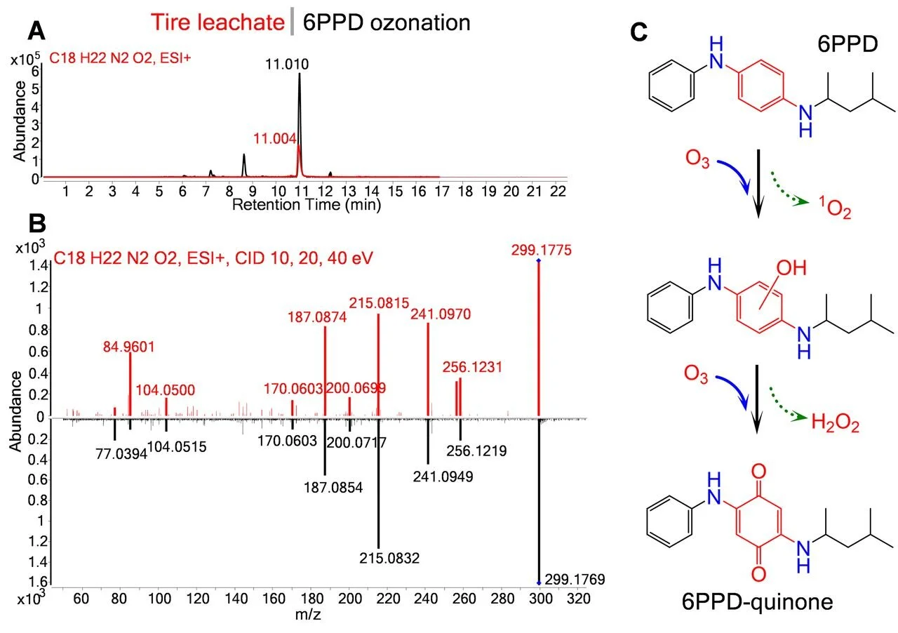 A ubiquitous tire rubber–derived chemical induces acute mortality in ...