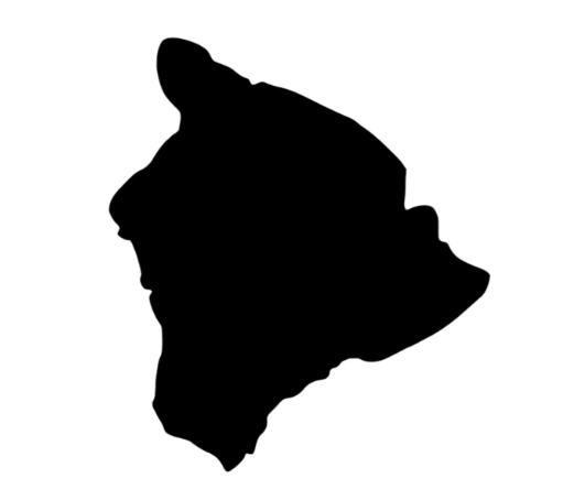 bigislandrentalmanagement.png