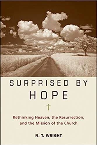 Book cover of Surprised by Hope: Rethinking Heaven, the Resurrection, and the Mission of the Church by N. T. WrightBook cover of Surprised by Hope: Rethinking Heaven, the Resurrection, and the Mission of the Church by N. T. Wright