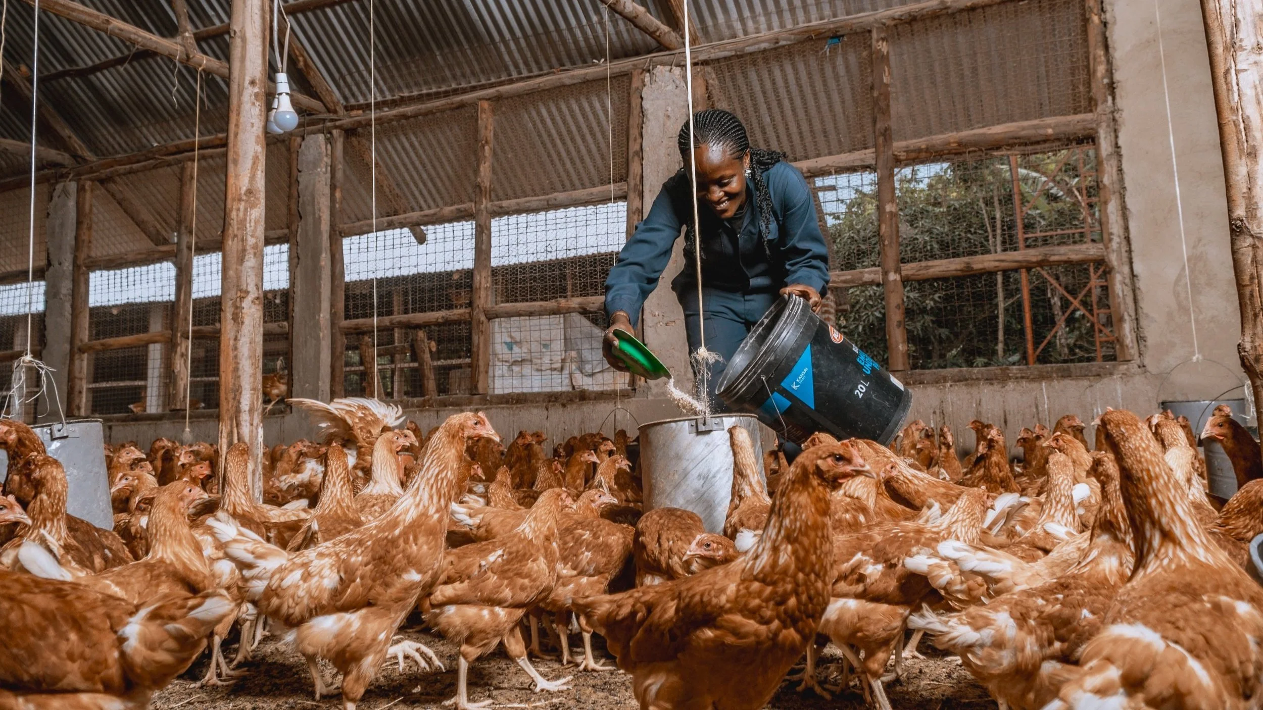 AsOne Poultry farm in Mayuge