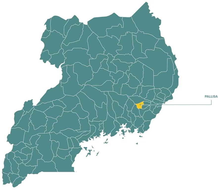 Map of Uganda highlighting Pallisa district