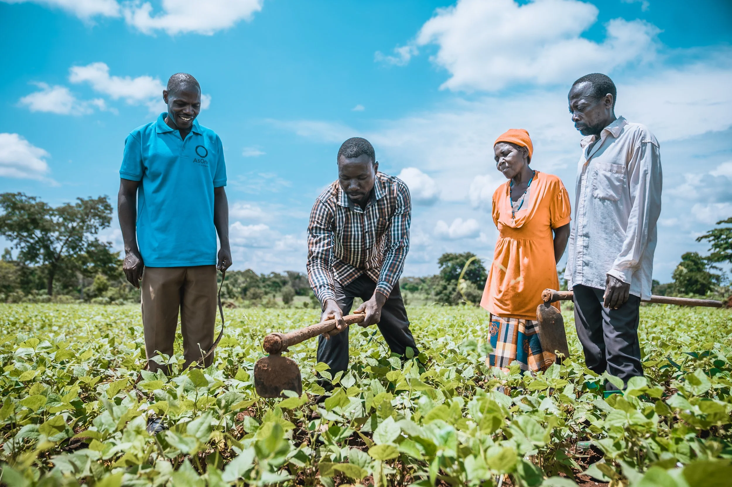 AsOne village-based advisor teaching farmers proper farming techniques in a field in Namayemba