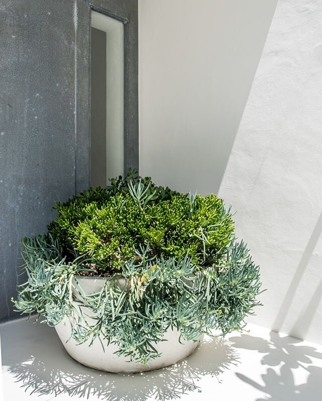 Custom concrete planters upon entry x x @relikdesigns