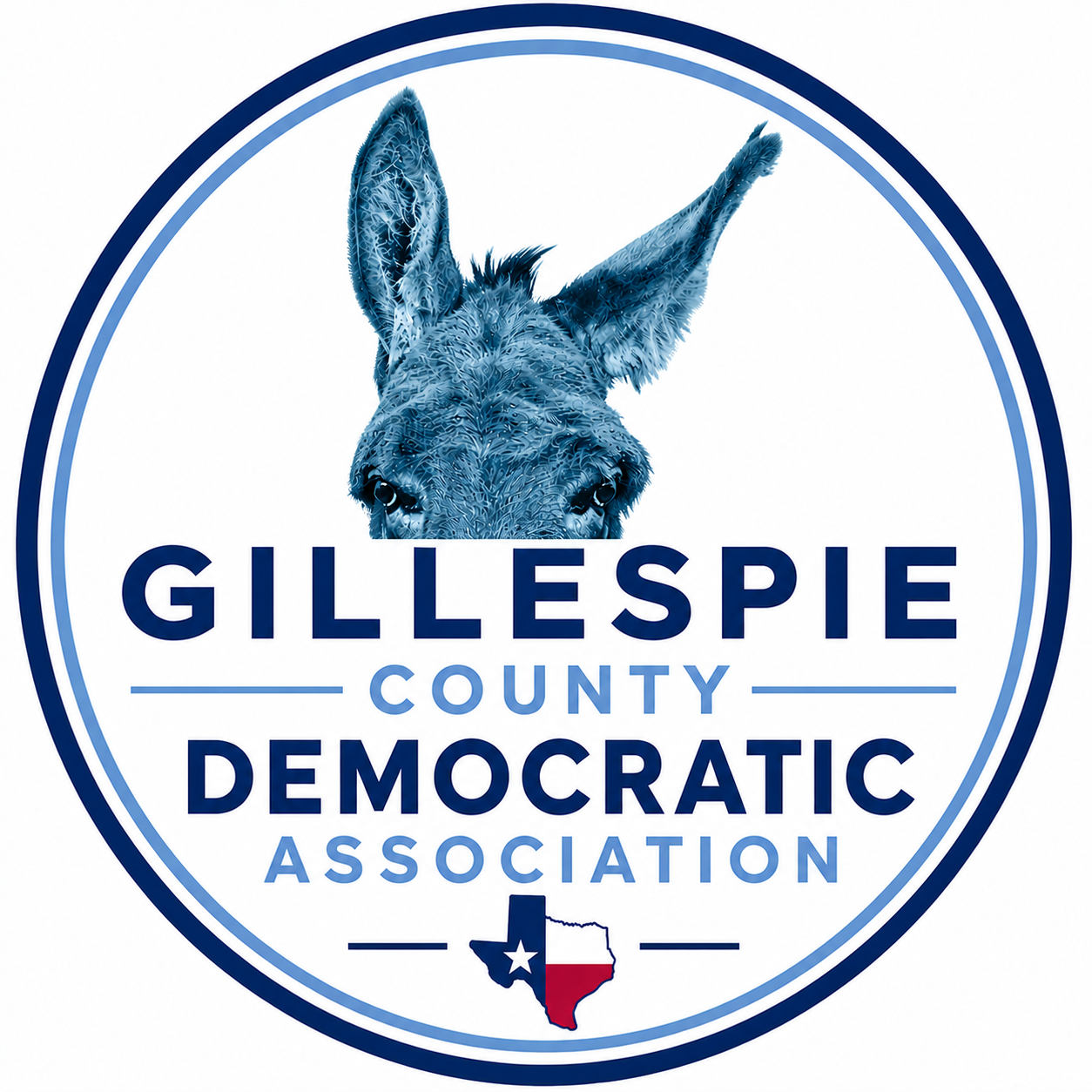 Gillespie County Dems Monthly Meeting