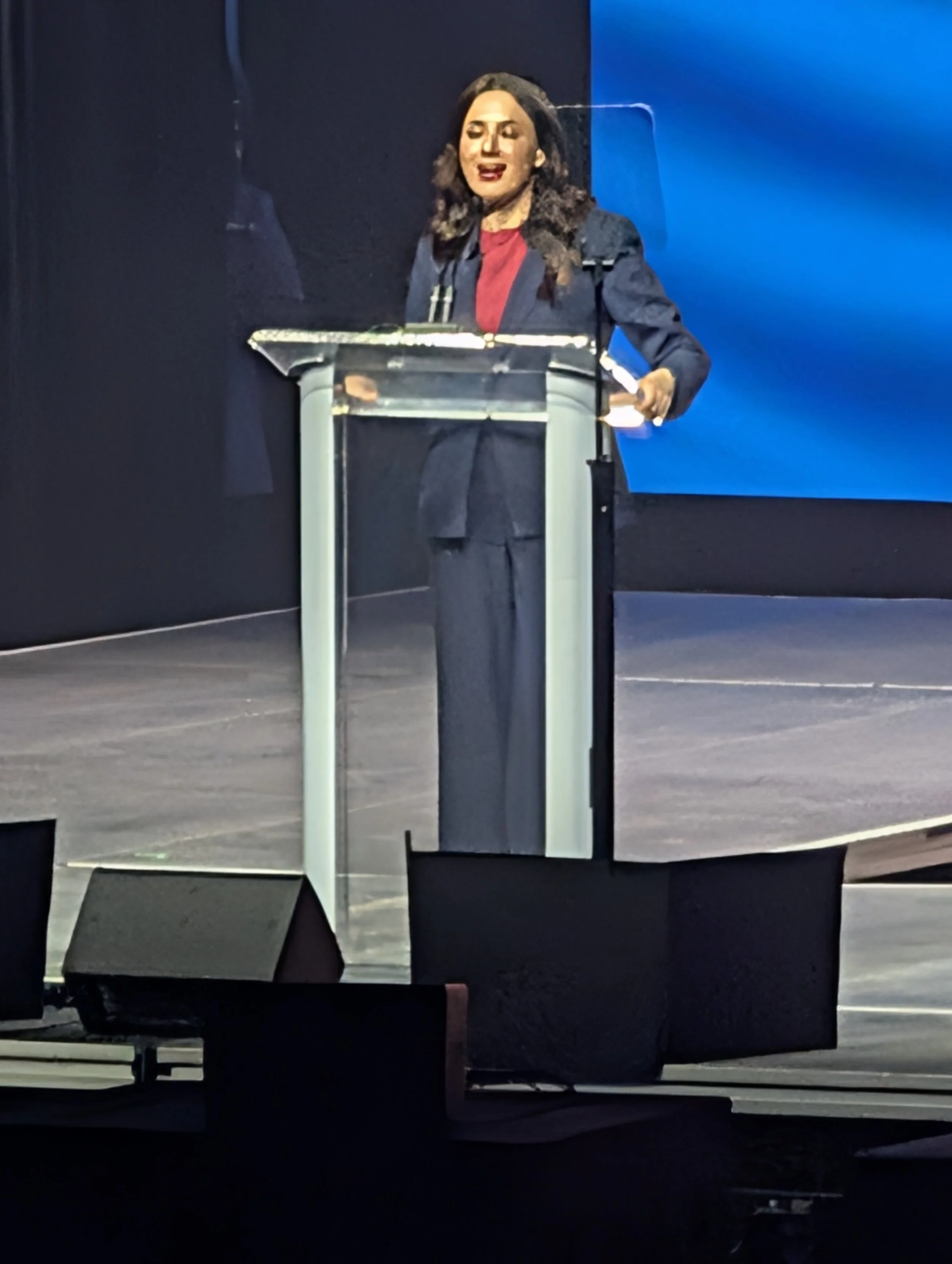 Gina Hinojosa, Governor