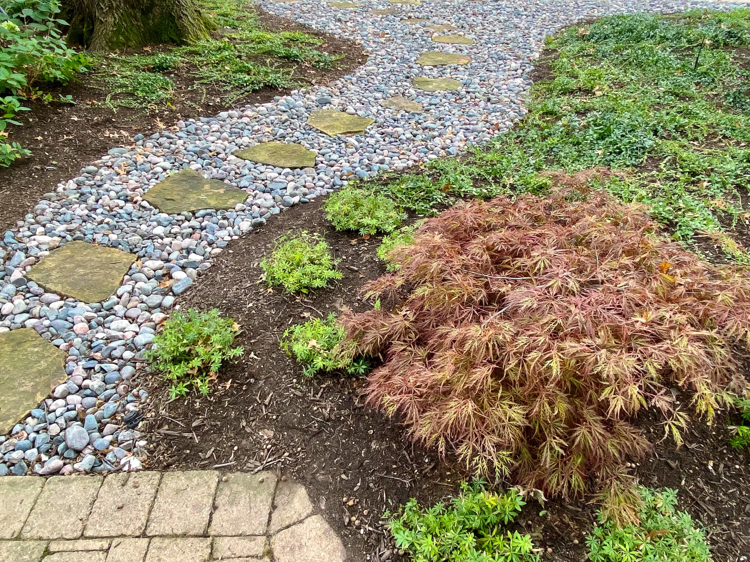 A garden pathway made of stepping stones and small rounded rocks, bordered by plants and foliage, with a section of brick paving in the foreground.