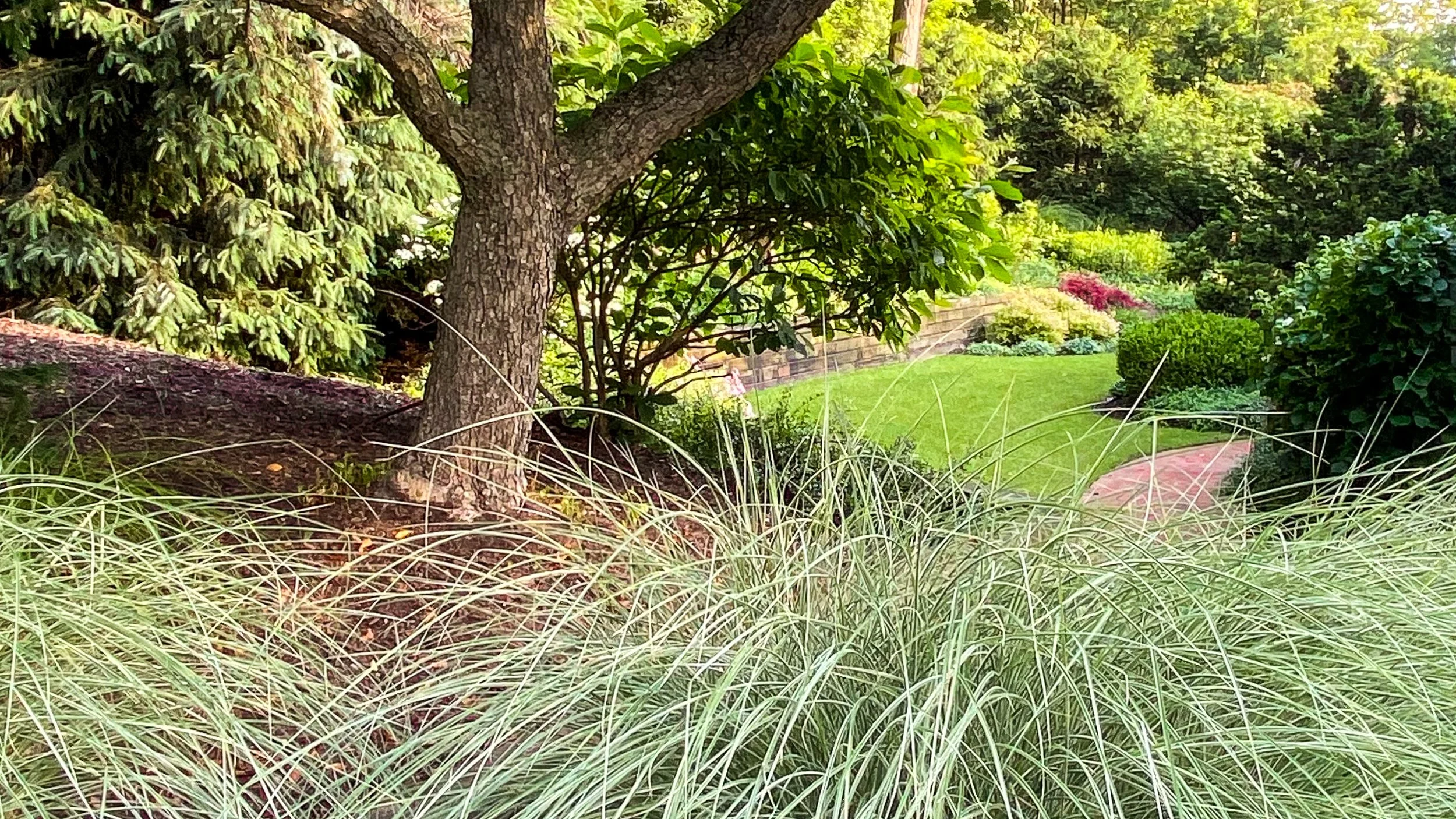 A lush garden scene with a large tree, green foliage, a well-maintained lawn, colorful flowers, and a winding brick pathway.
