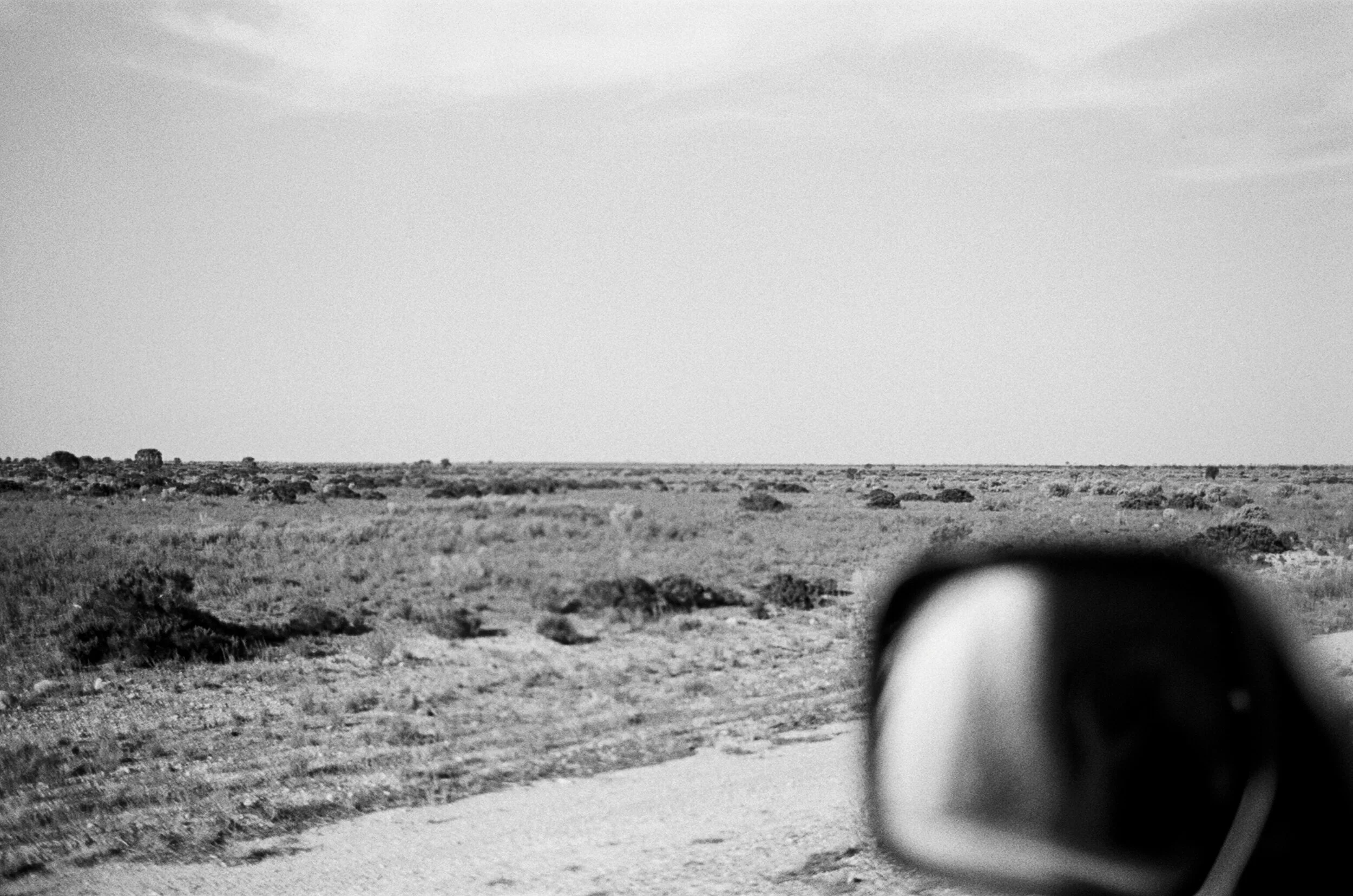 Rebecca Griffiths _Road Trip_001.JPG