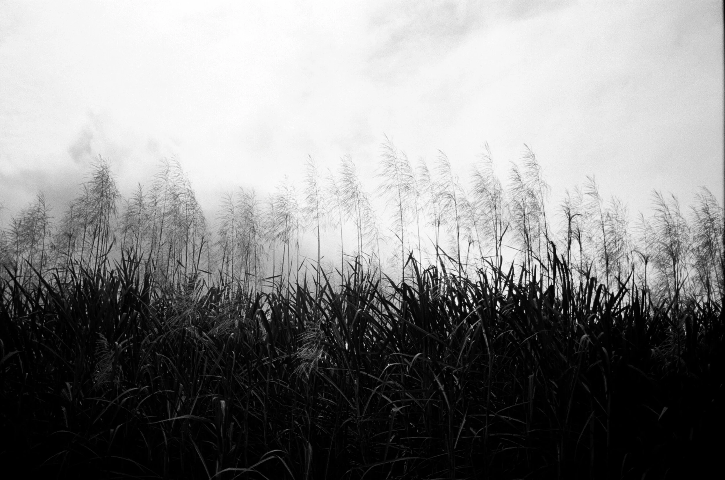 Rebecca Griffiths _Road Trip_009.JPG