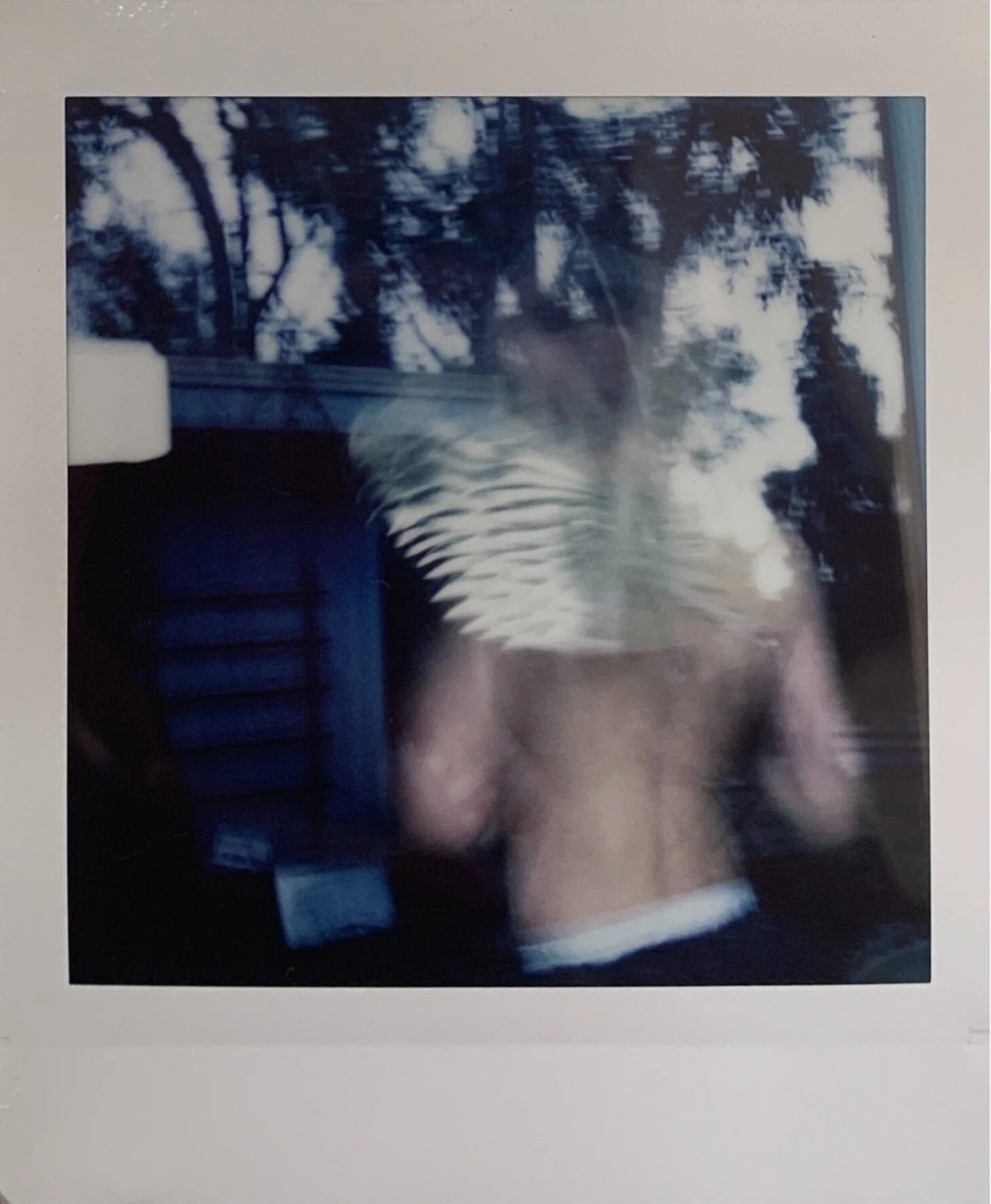 Rebecca_Griffiths_Fairy00001.JPG