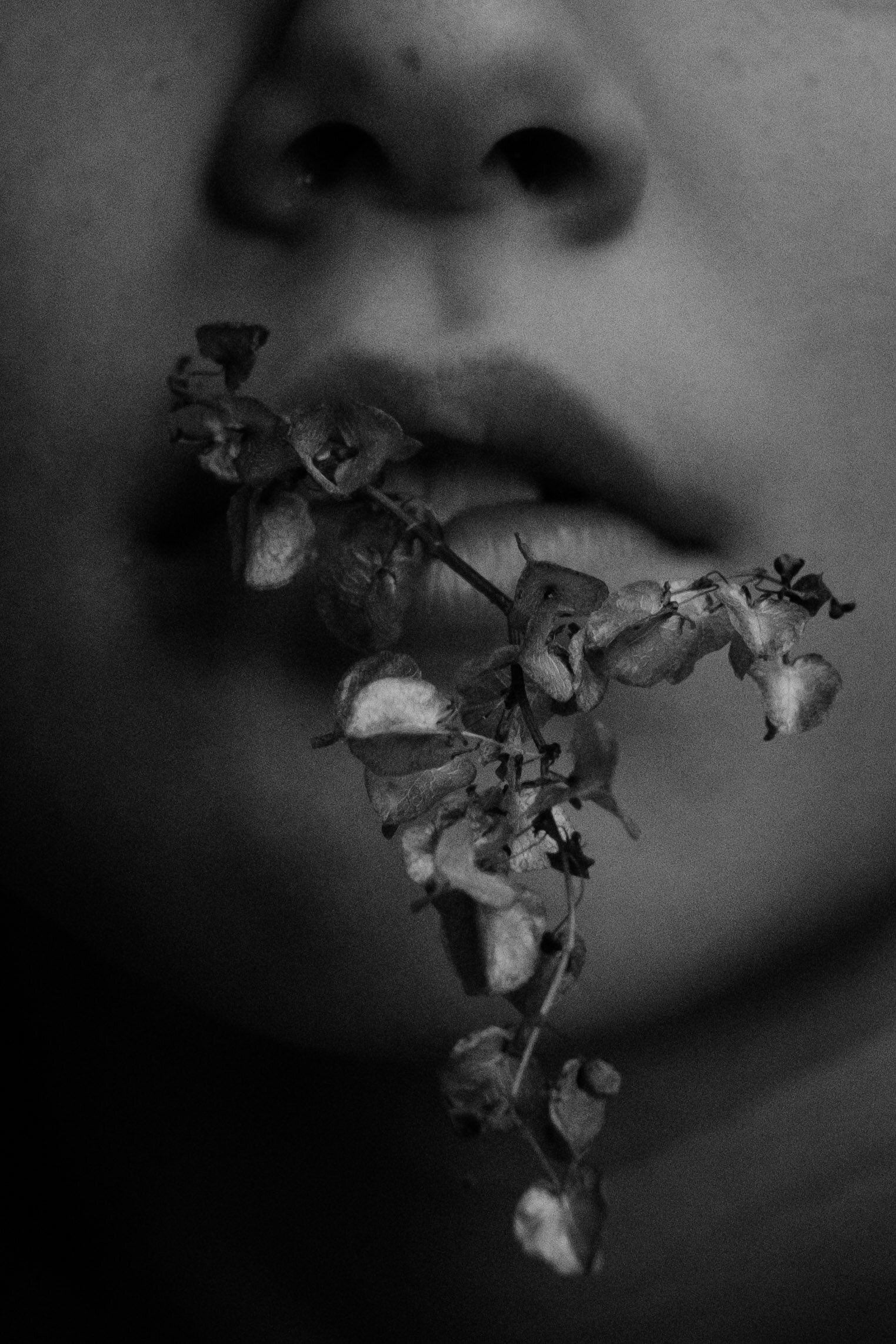 Rebecca Griffiths_Adorned by Nature00001.JPG