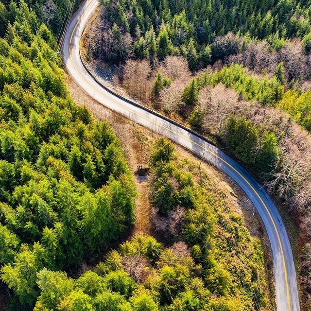 Some curves in the road heading towards Port Renfrew. 🇨🇦 If you look closely you will see social distancing. 👁 👁