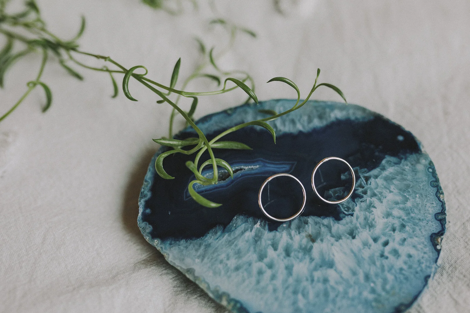 Silver Circle Earrings