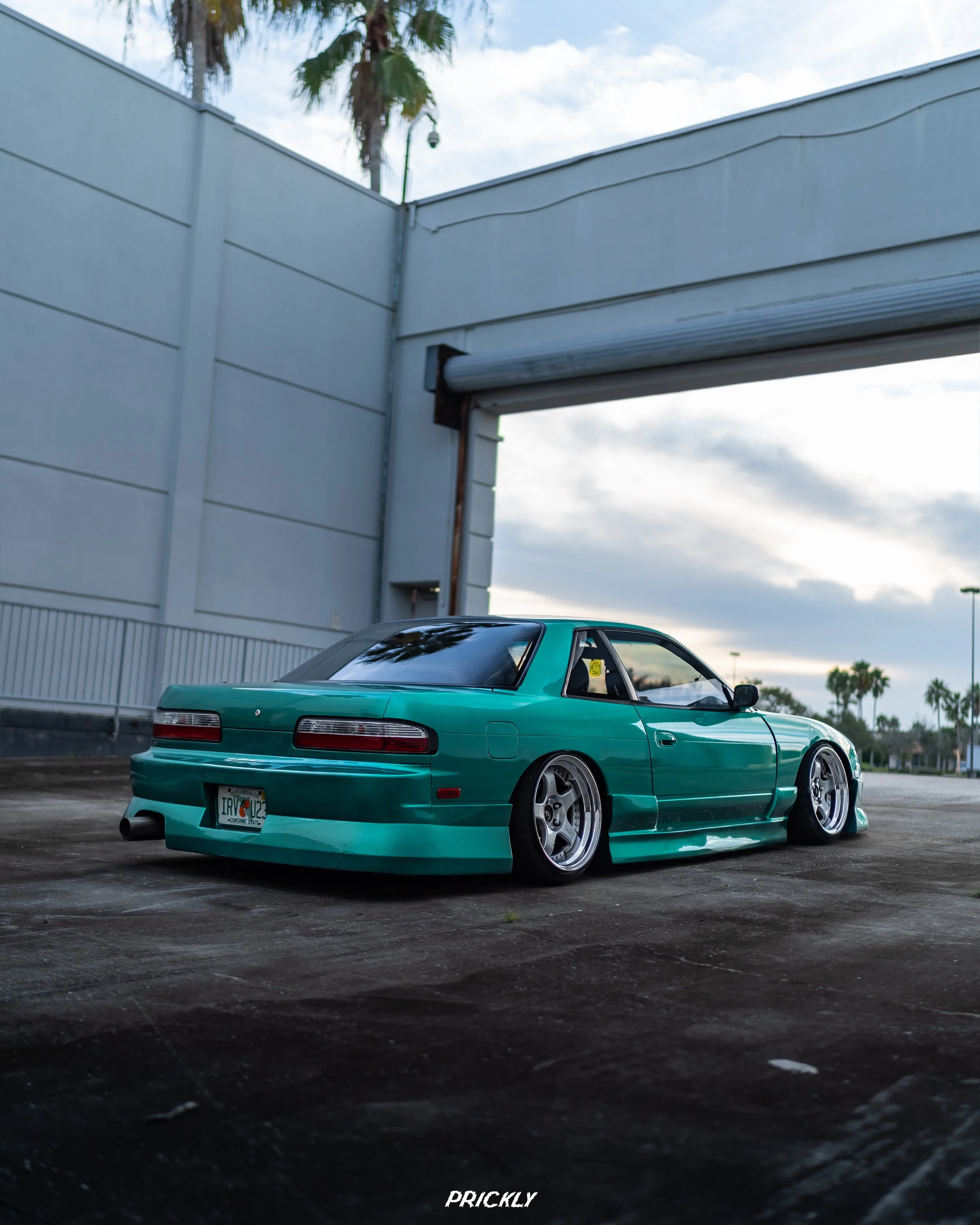 A7306743-2.jpg