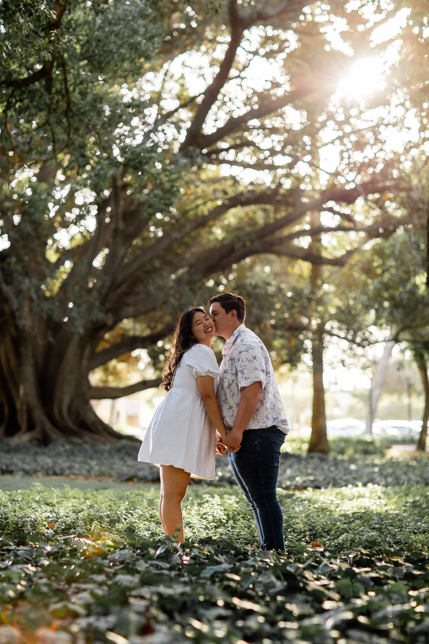 A couple holding hands and sharing a kiss under a large tree with sunlight shining through the leaves, in a park or garden setting.