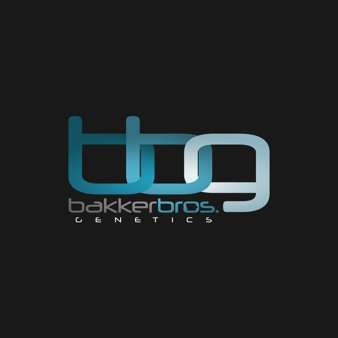A fresh look for an incredible family, Bakker Bros Genetics!

Shari reached out to us awhile back about rebranding themselves and wanted a fresh approach to the Bakker Bros. operation&mdash;it&rsquo;s safe to say I think we nailed it! 

&mdash; Peep 