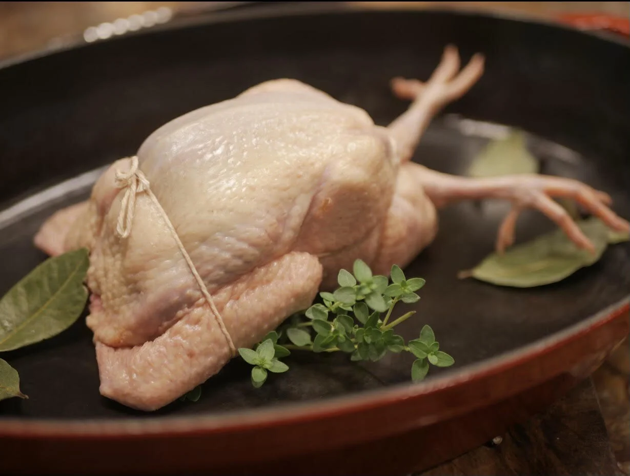 squab.jpg