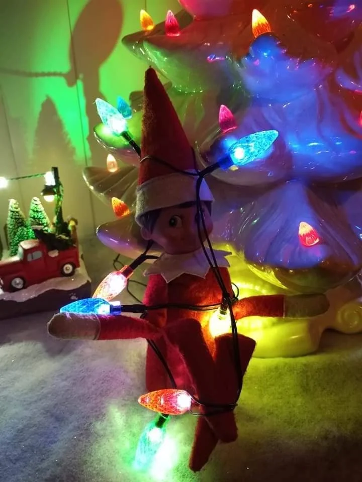 elfie4.jpg