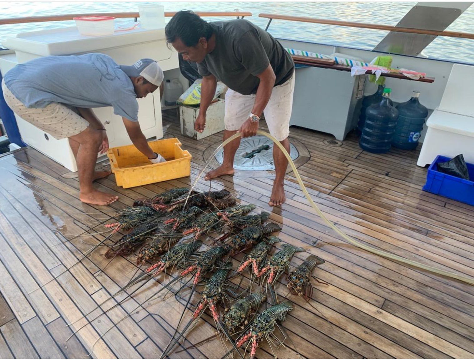  A haul of fresh crayfish purchased from local fishermen ensures a gourmet dinner  