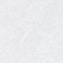 Grey Pampas, 4168