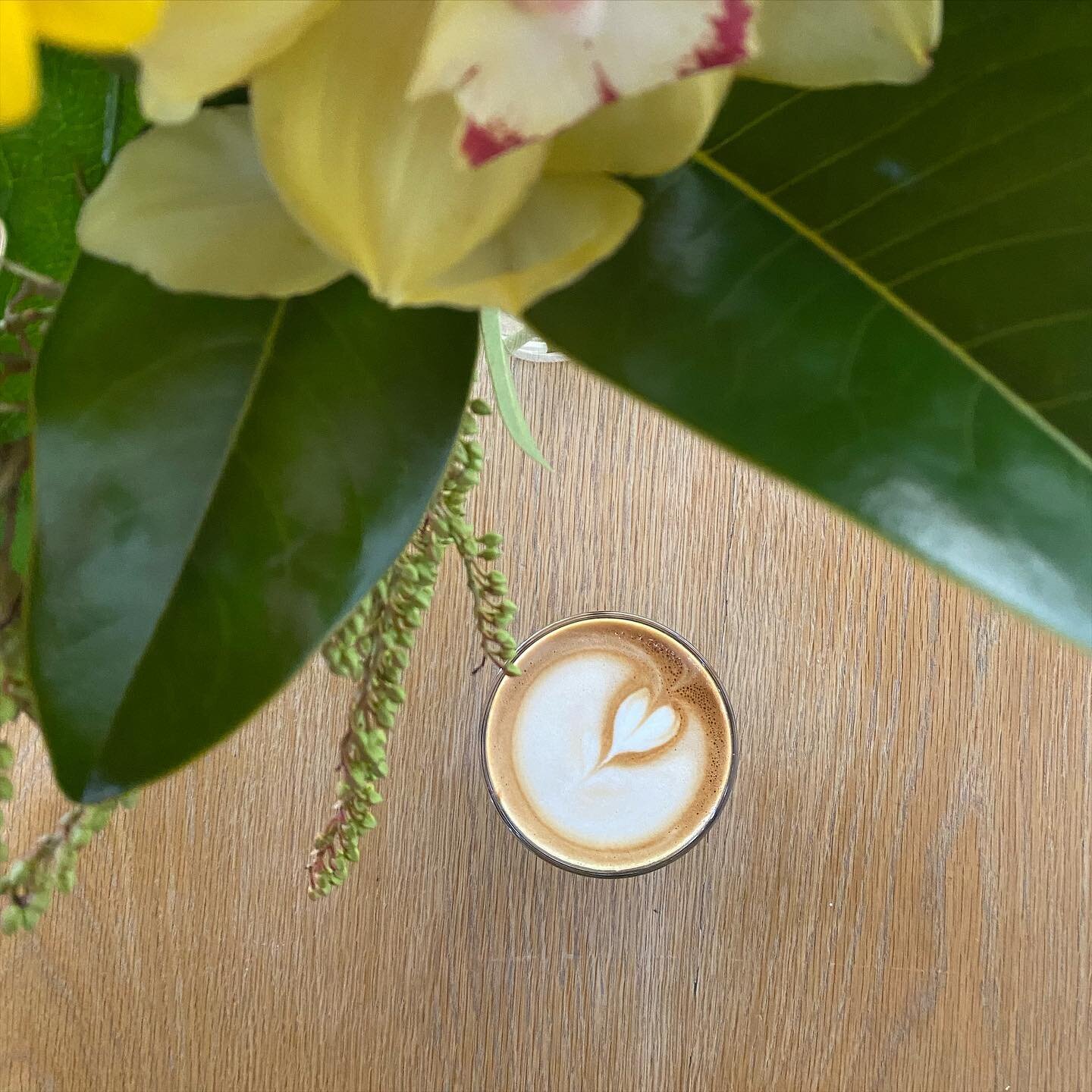 The sun is back ! ☀️☀️

👏🏻👏🏻👏🏻👏🏻👏🏻

#coffee #caffeine #coffeetable  #coffeelovers #coffeeart #coffeeholic #igcoffee  #coffeedaily #coffeeofinstagram #coffees #coffeedrinker #coffeetime #coffeeislife #coffeemaker #coffeevibes #coffeepeople #
