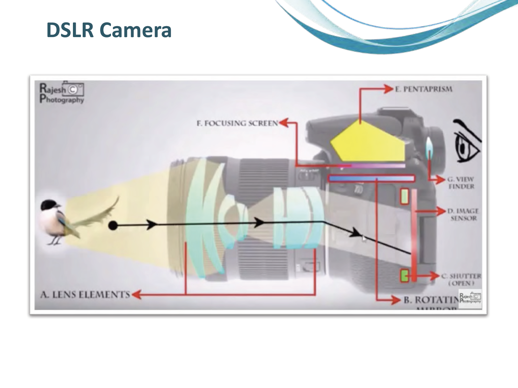 Screen Shot 2020-04-19 at 11.44.30 AM.png