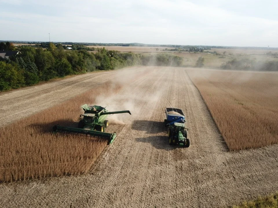 Two tractors working in a large field of wheat, with one harvesting and the other towing equipment, surrounded by trees and open landscape.