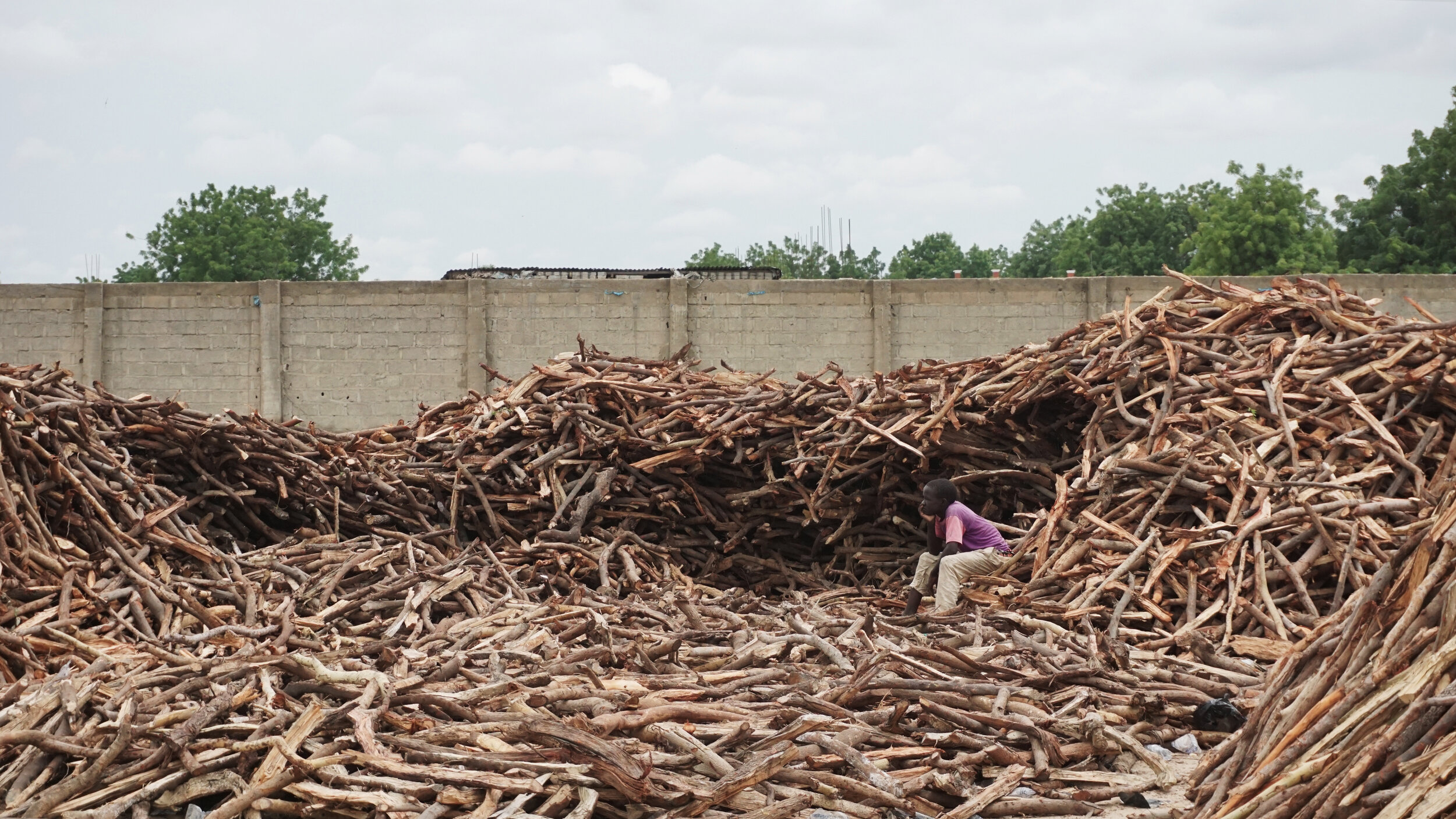 Maiduguri's wood market by Simpa Samson.jpg