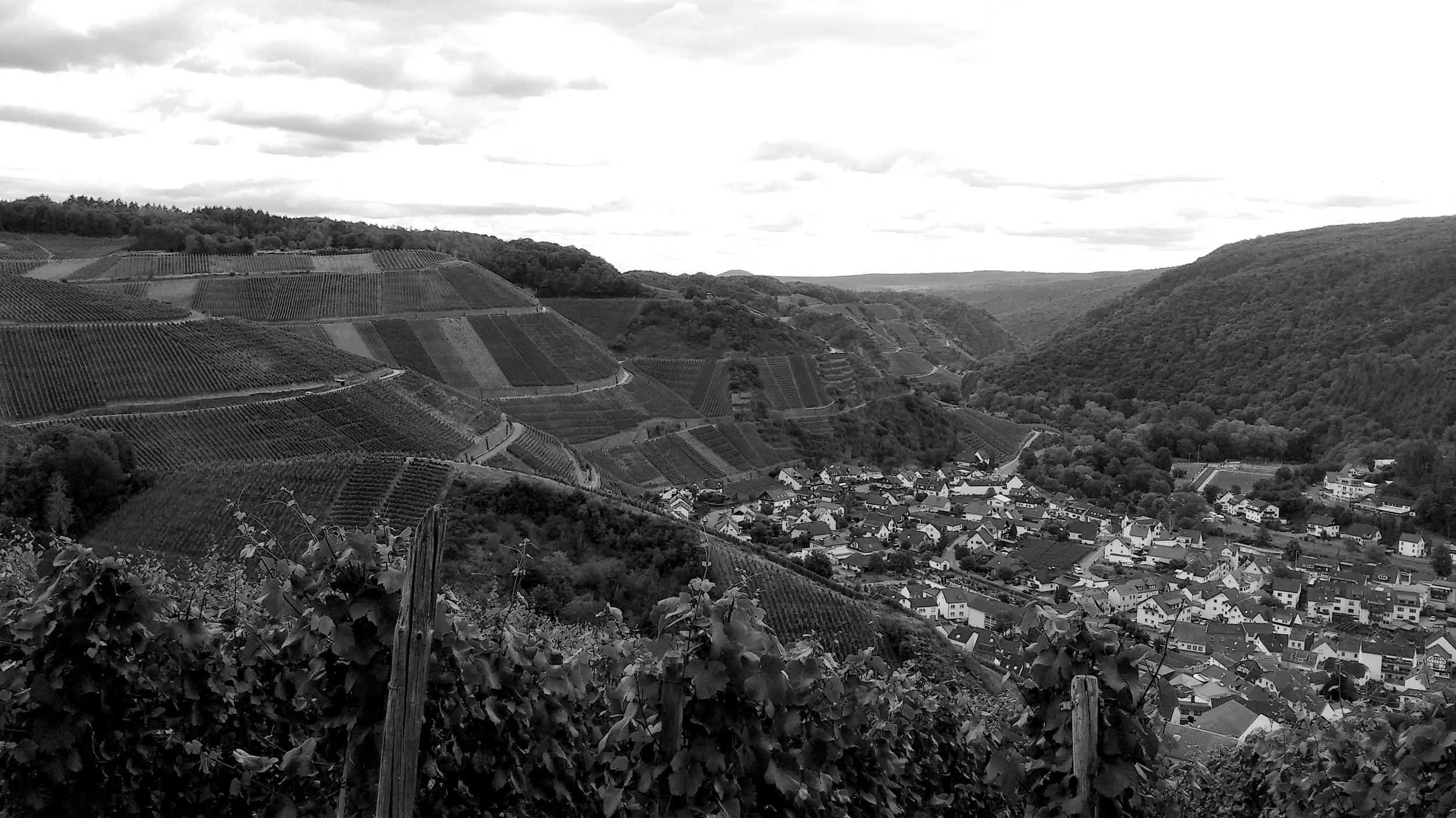 Wiederaufbau nach der Katastrophe an der Ahr