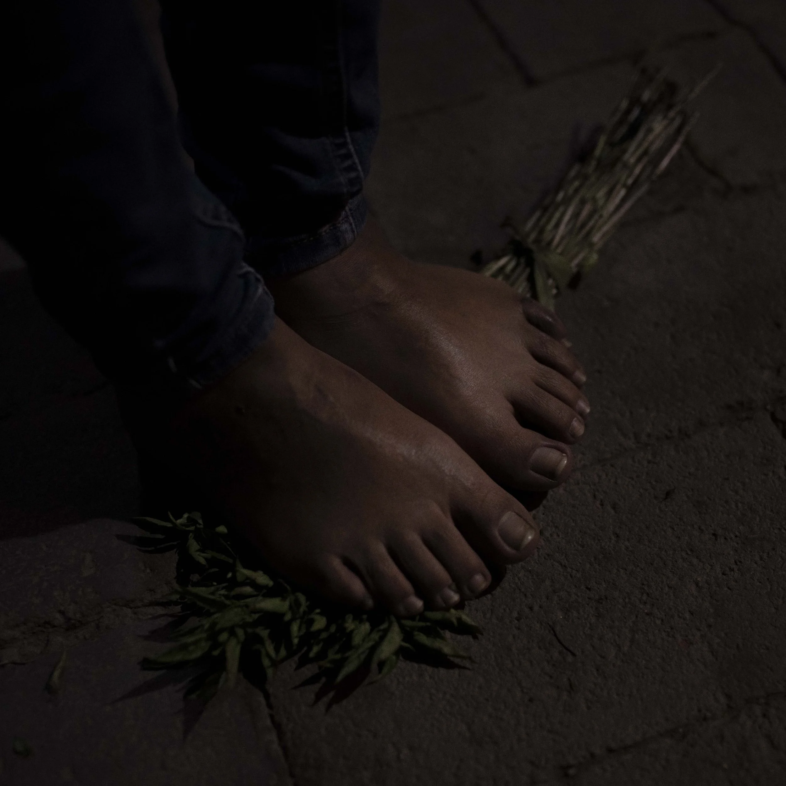 Dark photo showing a person's hand with fingers spread out on the ground near small green plants and sticks, with a stone or concrete surface in the background.
