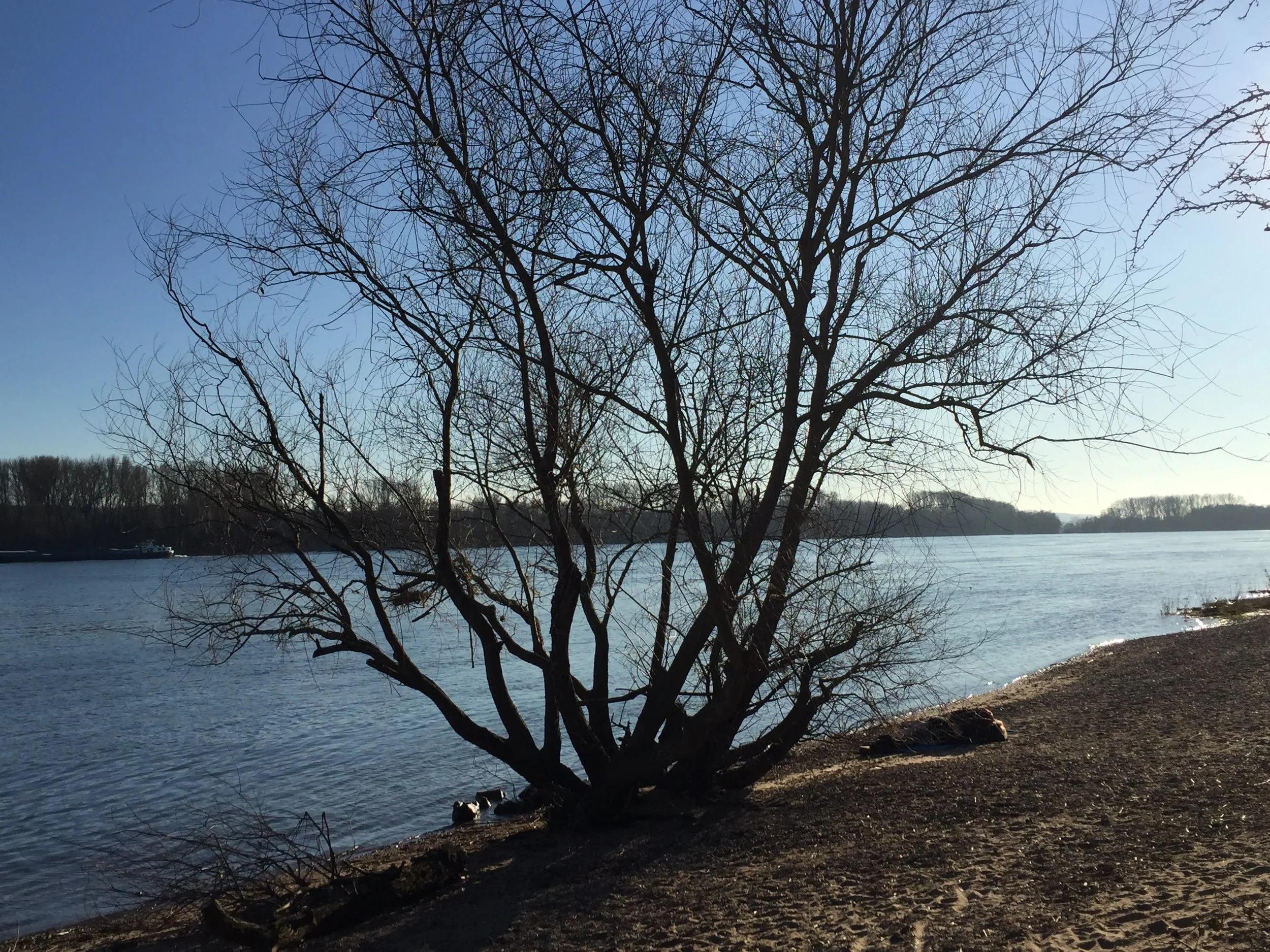 "Der Intuition folgen ... für ein erfüllteres Leben!"