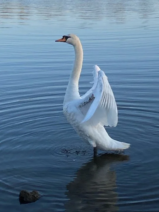 Einsendeschluss Sommergewinnspiel 2025